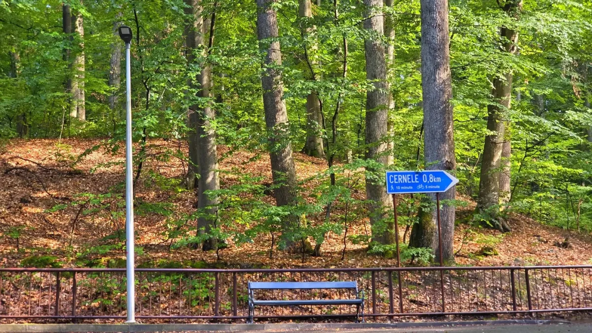 Potecă și indicator turistic într-o pădure din împrejurimile Băilor Govora.