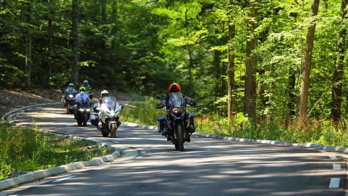 Motocicliști pe un drum împădurit din împrejurimile Băilor Govora.
