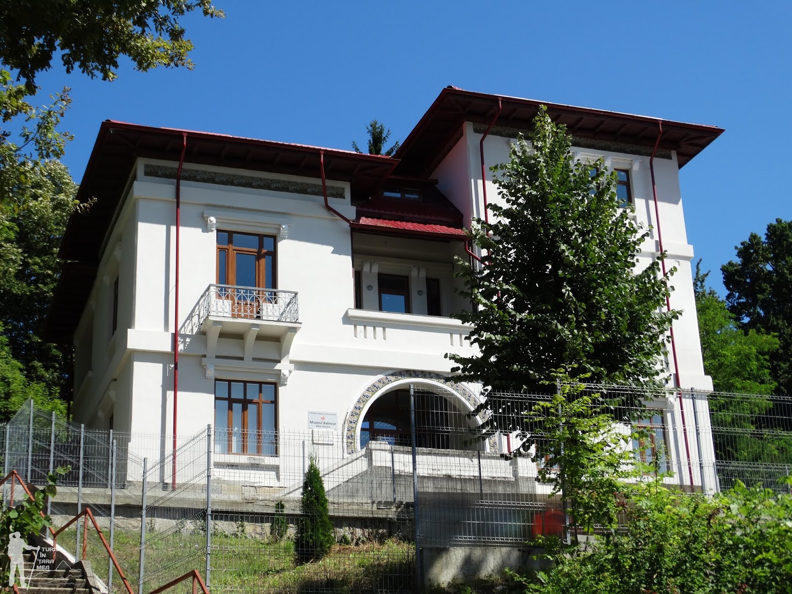 Muzee, biblioteci, colectii