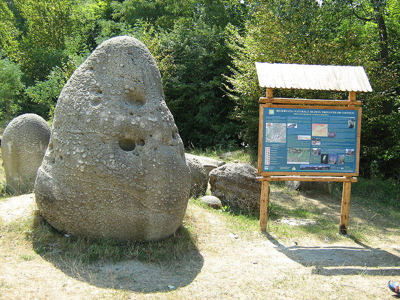 Alte obiective turistice din imprejurimi