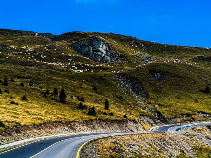 Transalpina - Ski Resort