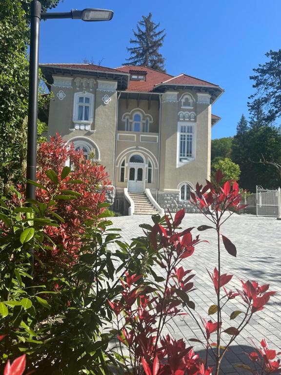 Vila Popovici